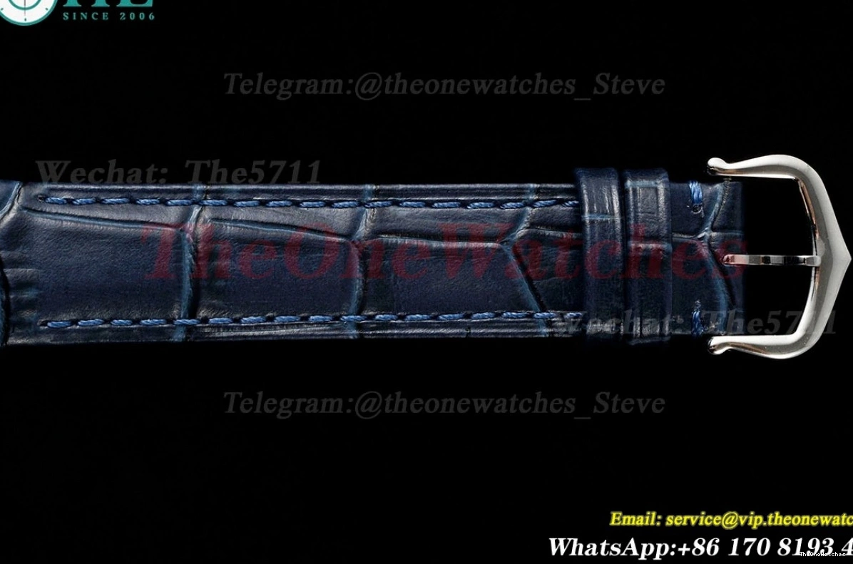 Silver Dumont Santos RG Blue AF Dial Quartz LE 1222